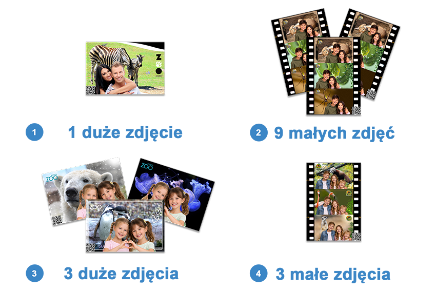 Wyb&oacute;r pakietu